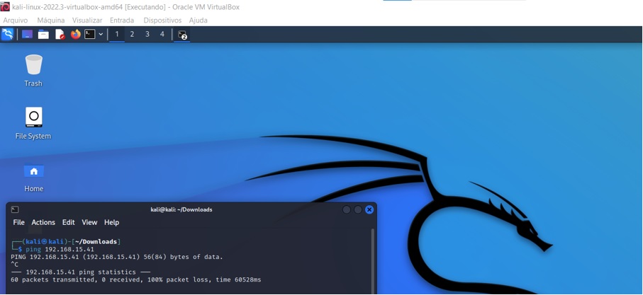 teste de Ping do host Kali para Windows